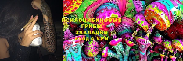 спиды Белокуриха