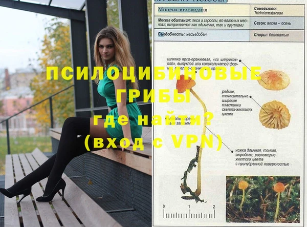 спиды Белокуриха