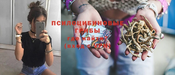 спиды Белокуриха